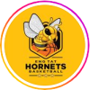 英塔黄蜂logo