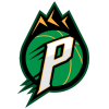 派萨logo