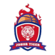 柔佛南虎女篮U23logo
