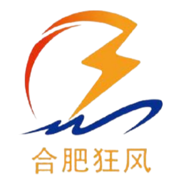 合肥狂风U19logo