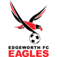 埃奇沃斯老鹰logo