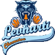 霍穆托夫猎豹logo