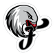 纽伦堡猎鹰logo