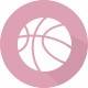 贝拉林风暴女篮logo