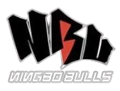 宁波公牛logo