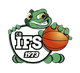 德菲斯女篮logo