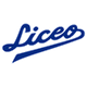 里奥女篮logo