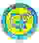 阿什杜德马卡比logo
