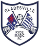 维尔莱德魔术U20logo
