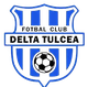 德尔塔U19logo